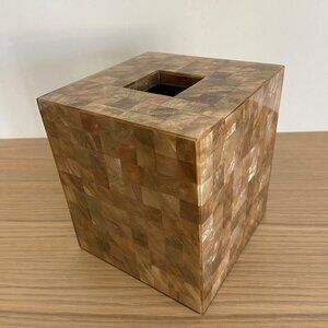 Vintage Labrazel Capiz Champagne Tissue Cover